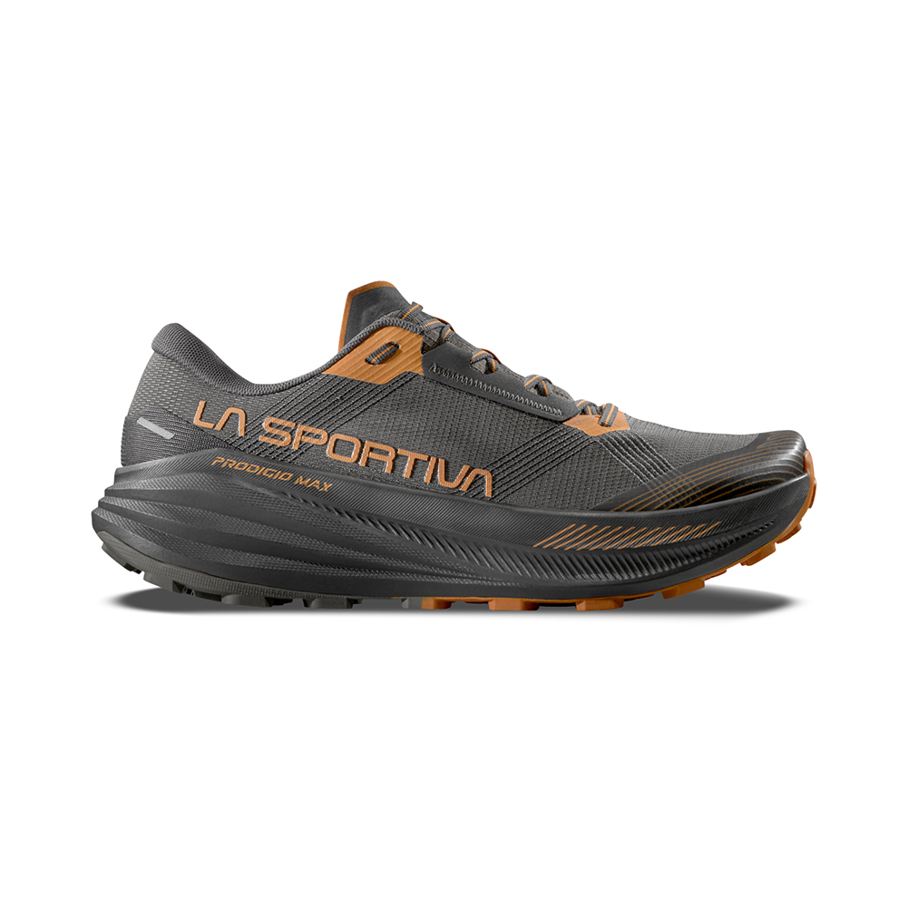 LA SPORTIVA - tetyu LA SPORTIVA Men's Tx5 Low GTX Mountain Shoes Multicolour