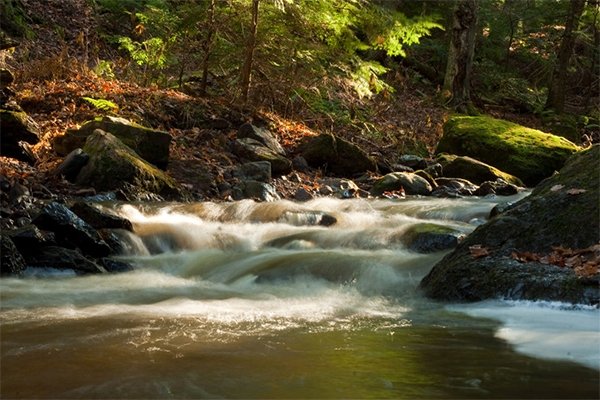 Flowing stream in Wisconsin 
