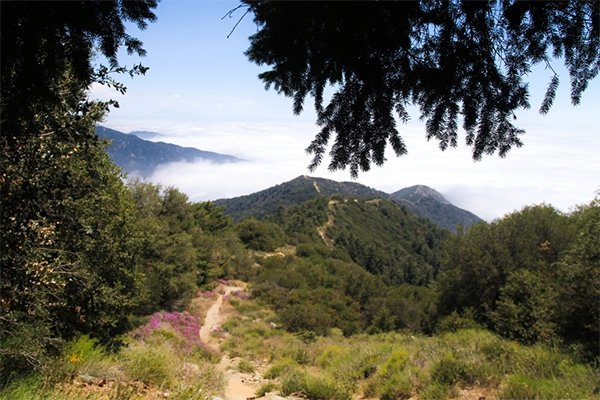 The view on the trail to Mount Wilson