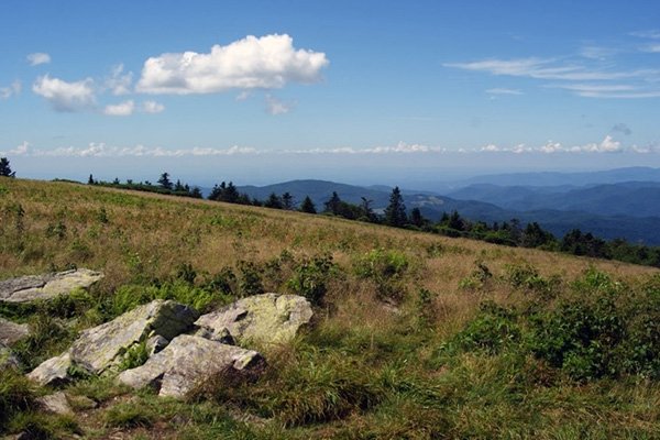 Hugging the NC/TN border, the Roan Highlands is one of the more popular sections of the Appalachian Trail