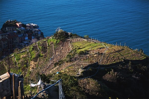 The Cinque Terre region is historically known for its terraced vineyards, lemon and olive groves, and of course, stairs! 