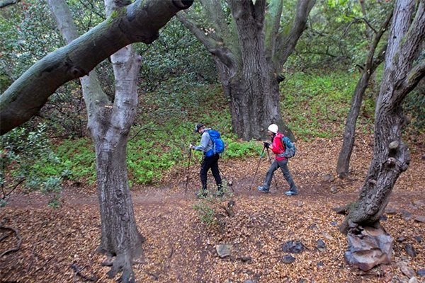 Most fastpackers opt for trekking poles