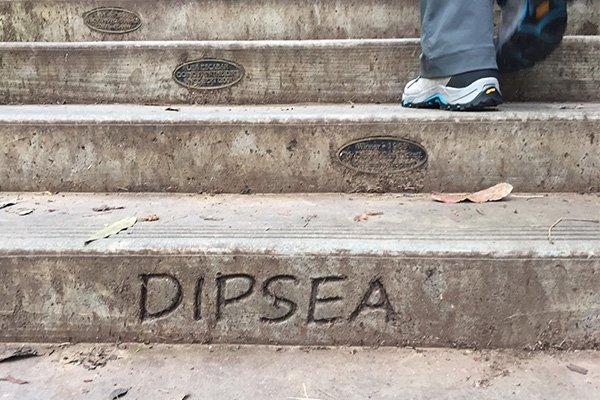 Stairs with 'Dipsea' carved in 