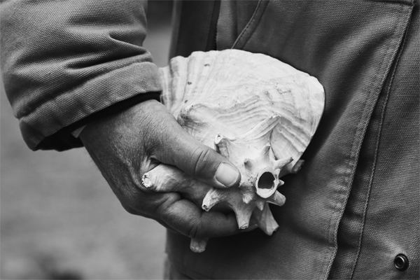 Conch shell being held