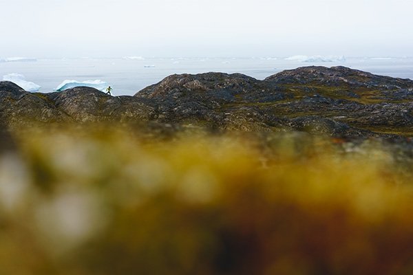 Greenland's craggy moss-covered terrain framed by icecaps on the sea.